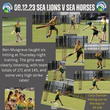 Sea Lions v Sea Horses 9/12/2023