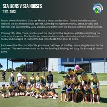 11/11/2023 Sea Lions v Sea Horses match report 